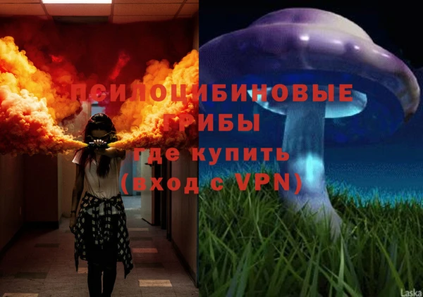 ECSTASY Аркадак