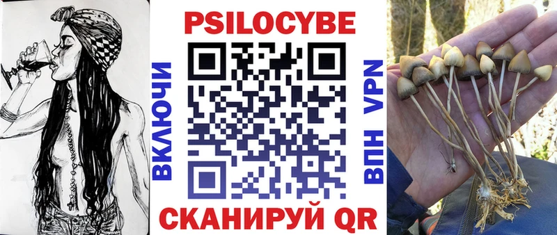 Псилоцибиновые грибы Cubensis Севск