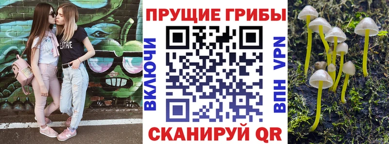 Галлюциногенные грибы мухоморы Севск